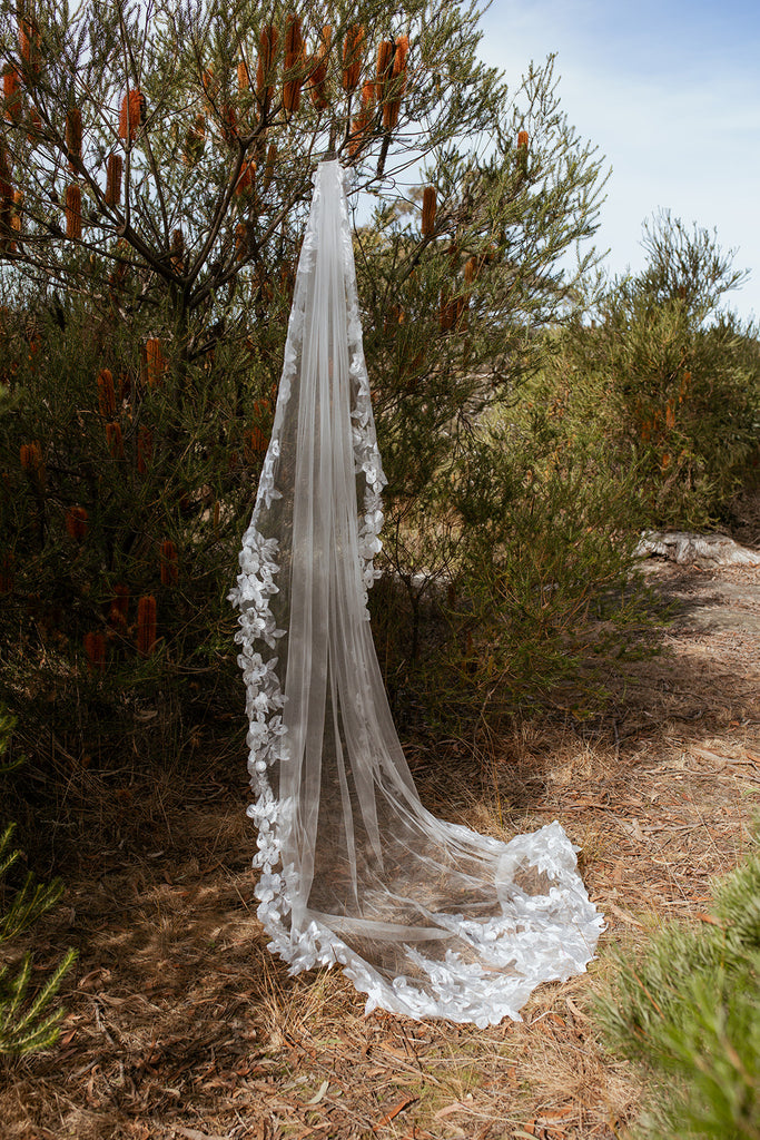 PASCALE - French Chantilly Lace Tulle Veil